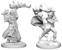 Pathfinder Deep Cuts - Human Cleric Female Pre-Primed